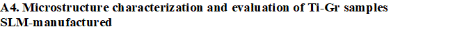 Microsoft Word Document
